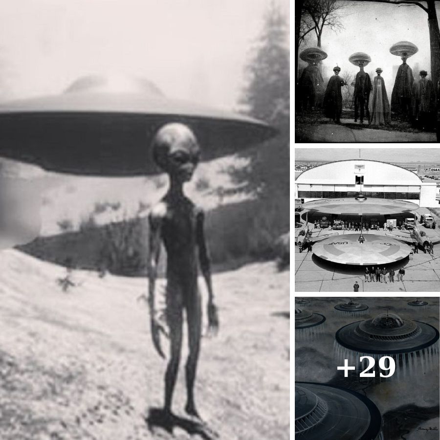 Living with Aliens: A Speculative Exploration