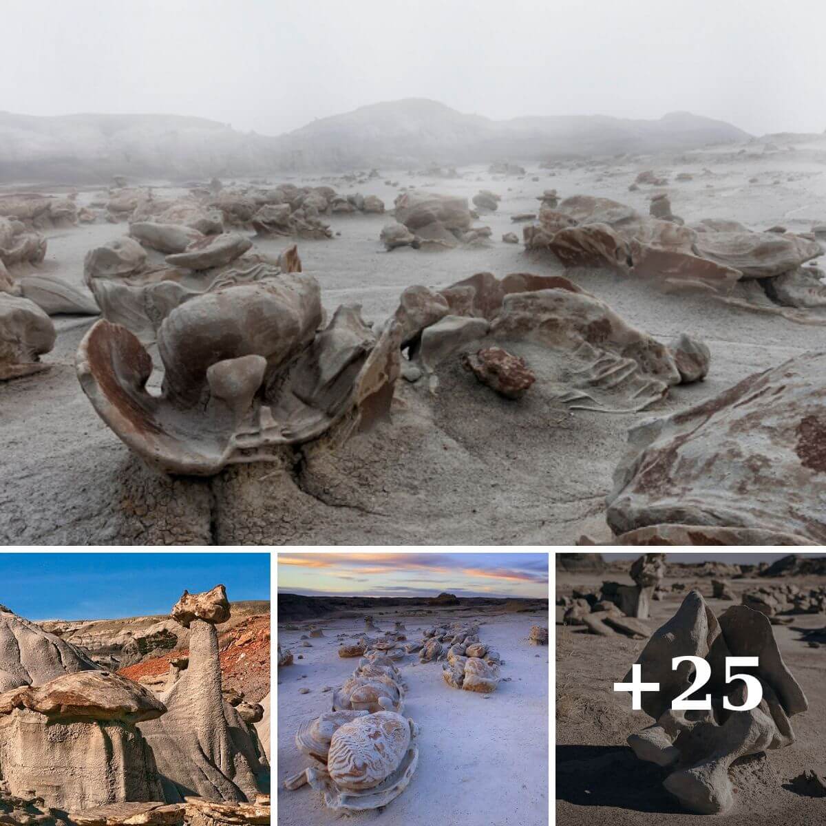 Unveiling the Enigmatic Beauty of Bisti Badlands: A Surreal New Mexico Wilderness
