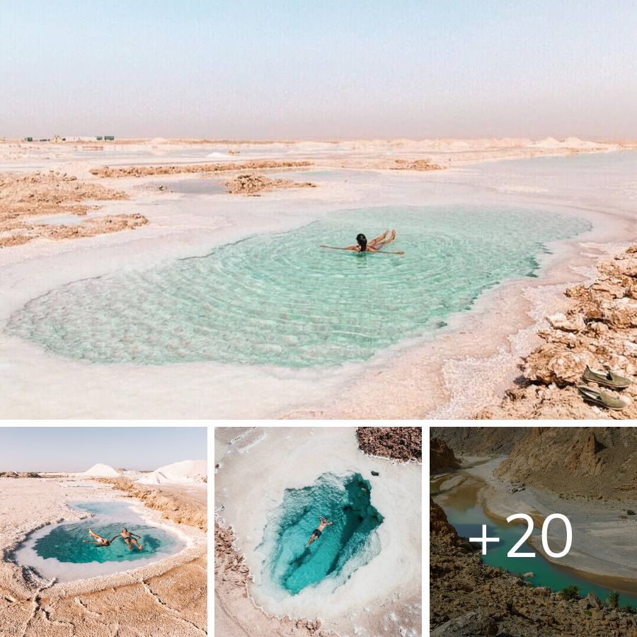 Siwa Salt Lake, Siwa Oasis, Egypt Nature's Surreal Masterpiece