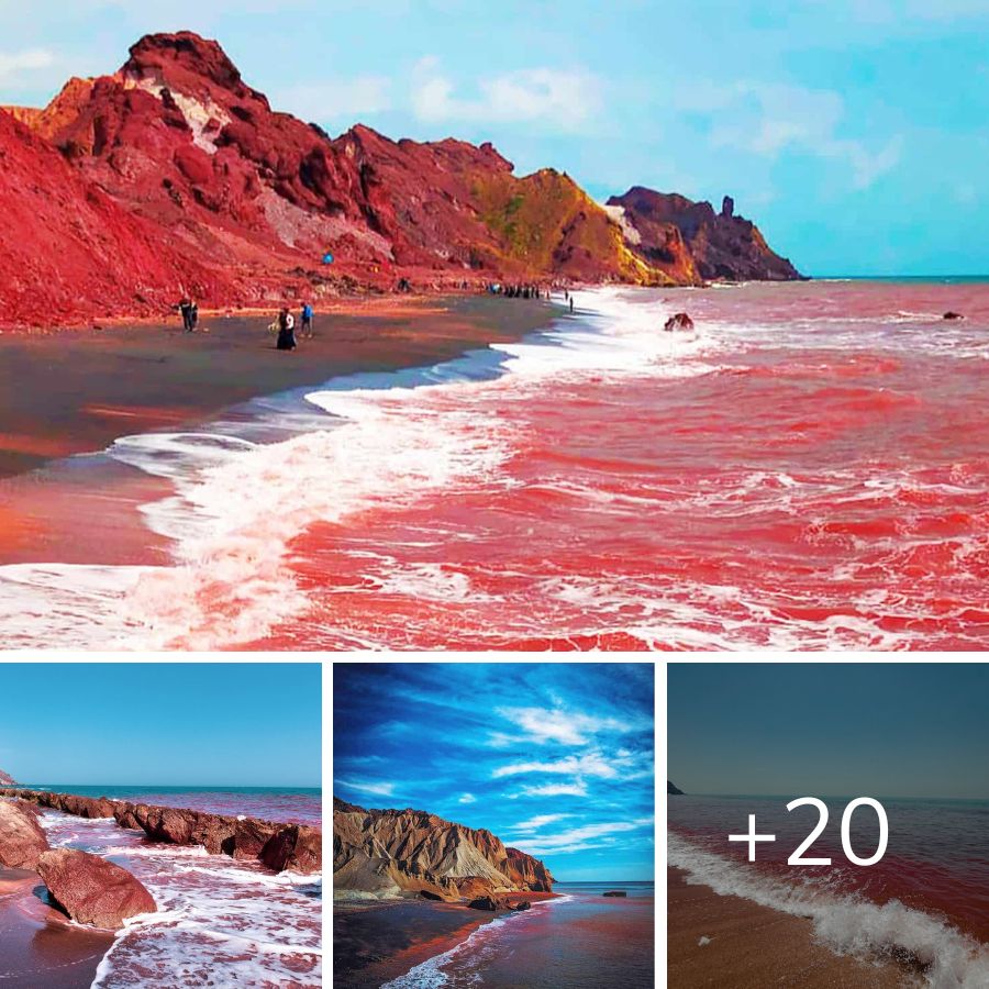 Red Beach, Hormuz Island, Iran Nature's Crimson Canvas