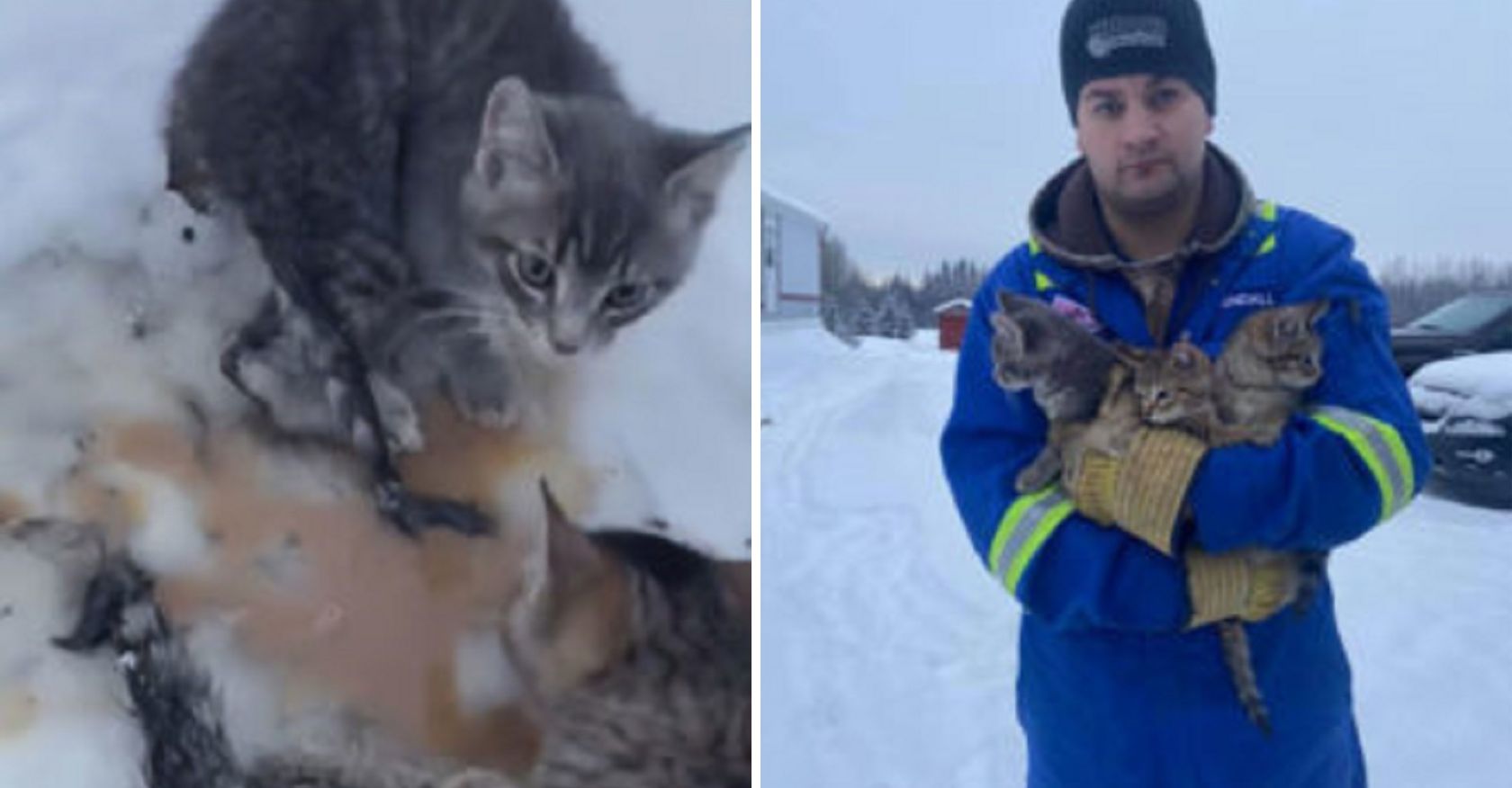 With a Cup of Warm Coffee, a Kind-Hearted Man Rescues Three Frozen Kittens!