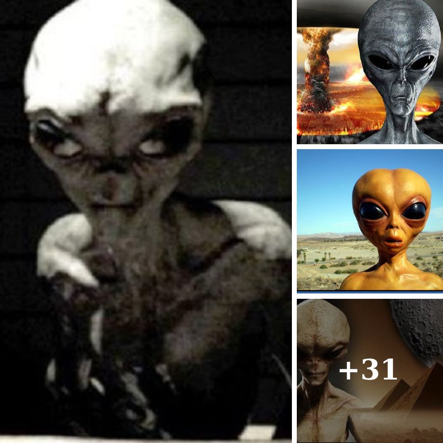 What Is the Purpose of Aliens Coming to Earth?