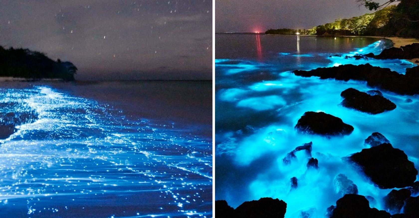 Mesmerizing Midnight Azure Radiance: Australia’s Enchanted Bioluminescent Beach