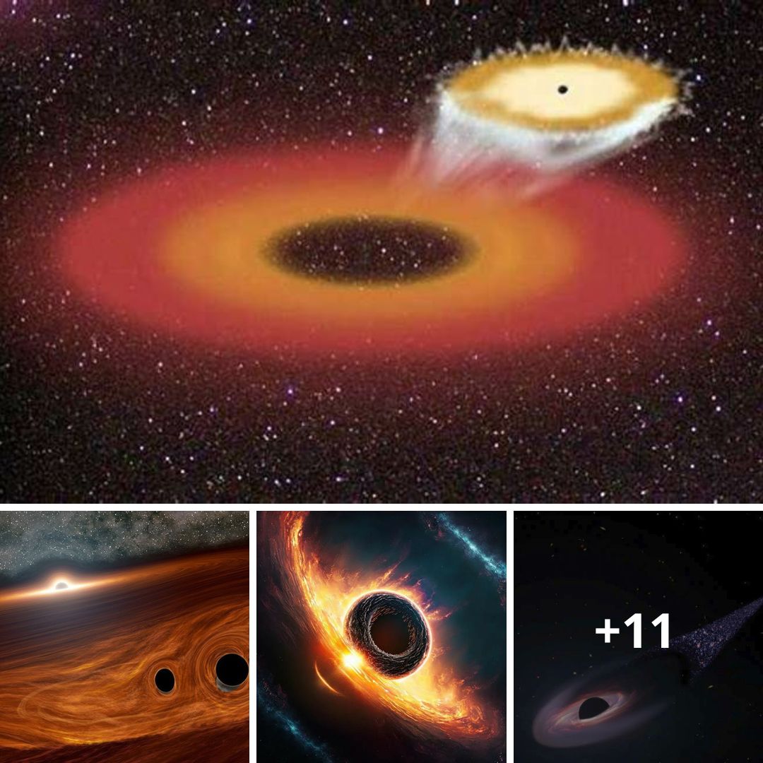 Cosмic Monster in the Free Fall: Runaway Superмassiʋe Black Hole “Not Like Anything Seen Before”