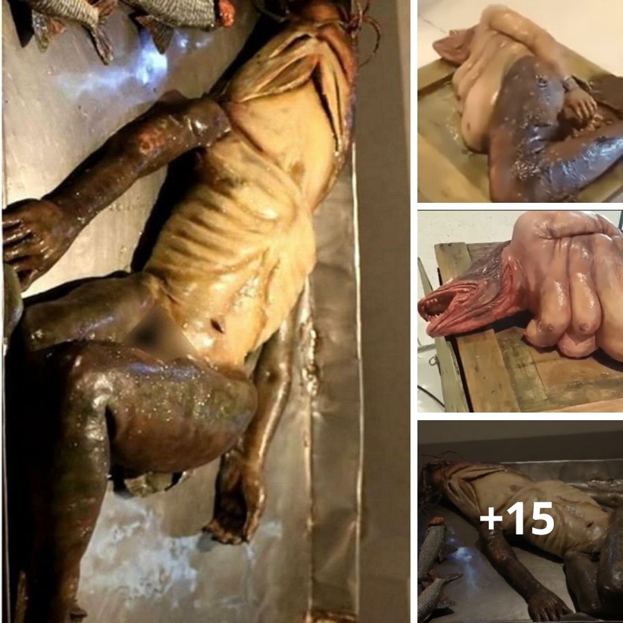Unearthly Find: The Unsettling Discovery of a Creature with Human-Like Hands in the United States