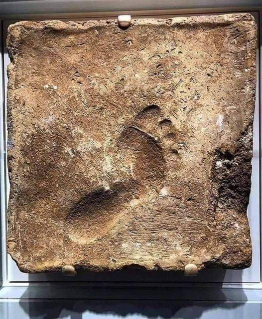 Preserving History: The Remarkable Footprint from 2000 BC, Ur (Iraq)