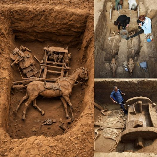 Time Capsule on Wheels: 2,500-Year-Old Chariot Unearthed