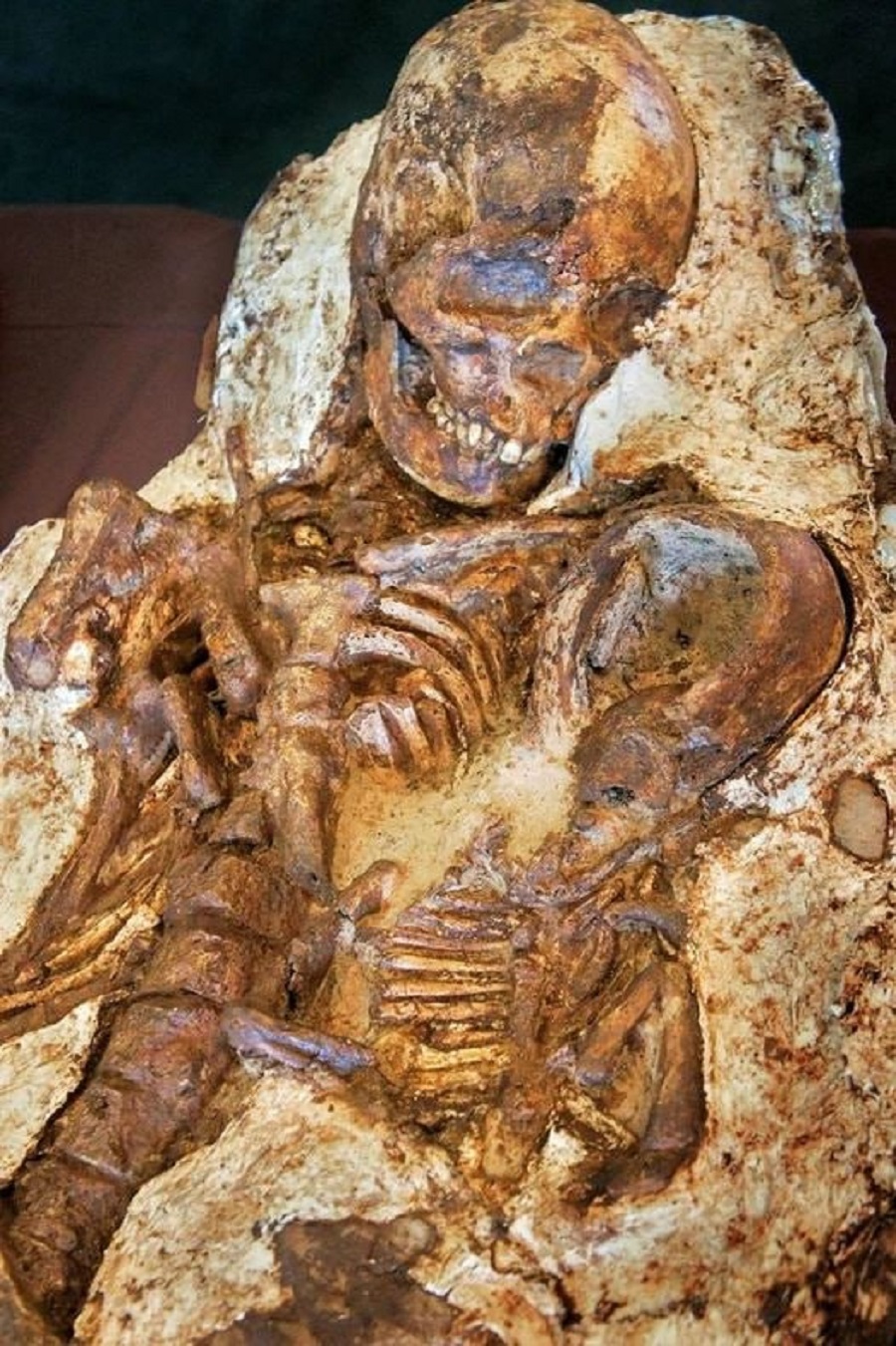 4,800 Year Old Skeletons Discovered In Taichung, Taiwan
