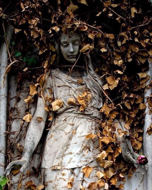 Statue Love In A Rose: A Melding of Nature and Artistry in Vienna