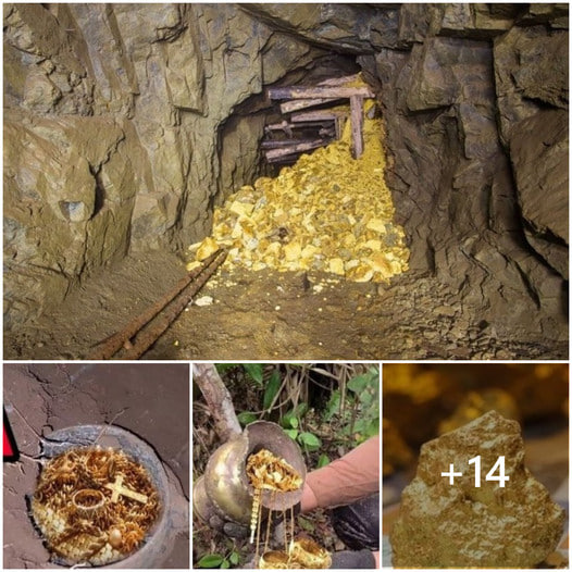 A man accidentally found gold in his backyard; she built a house after building it