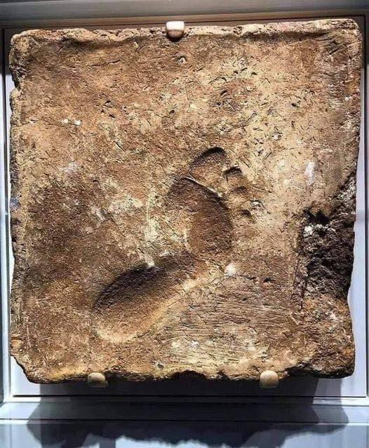 Unearthing the Footprint of History