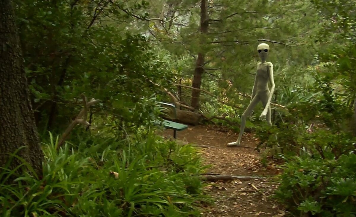 Unbelievable encounter in the forest: Discovering a 3-meter-tall gray alien hiding in the forest