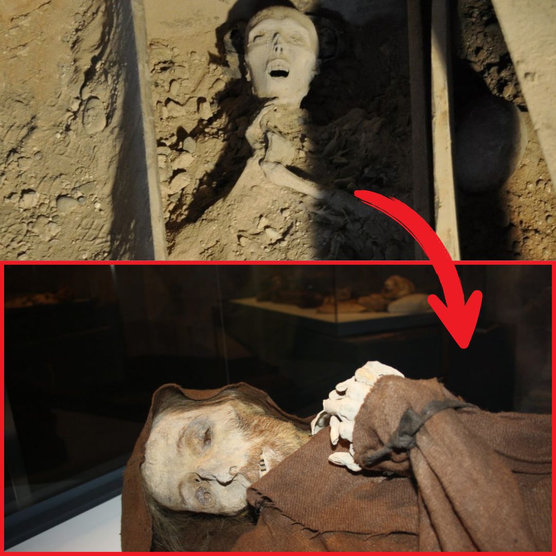 Mummified ‘Vincent van Gogh’ found in Spanish church