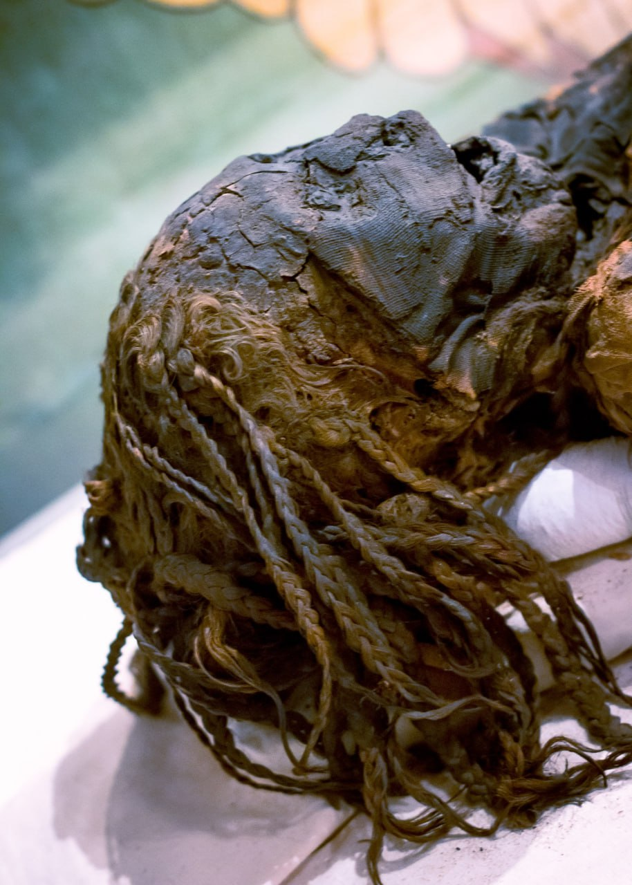 Unveiling the Mummy of an Ancient Young Woman: Insights from the New Kingdom
