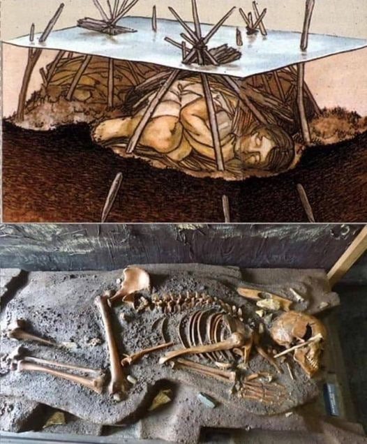 Preserved in Time: The Windover Bog Bodies of Florida