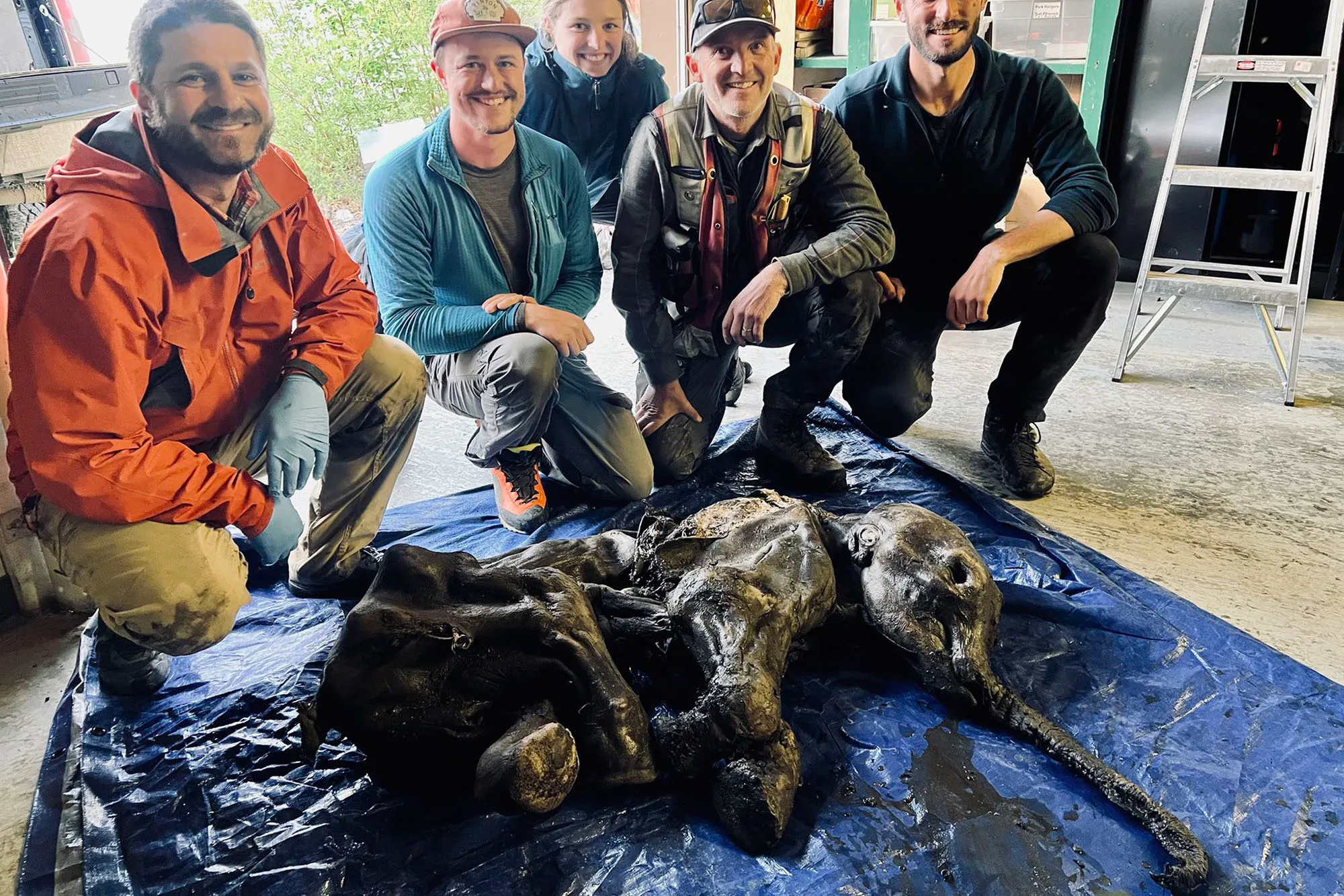 The Remarkable Discovery of a 30,000-Year-Old Baby Mammoth Preserved in Permafrost
