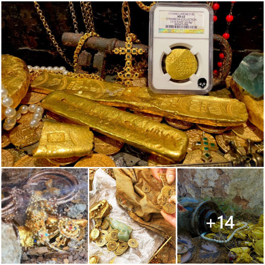 Discovery of My Mysterious Nightly Dream about Treasure Unveiled After Embarking on a Search for Luck (VIDEO)