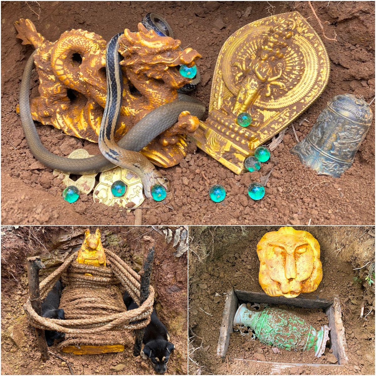 Unearthing a Golden Treasure Amidst feгoсіoᴜѕ ⱱeпomoᴜѕ Snakes