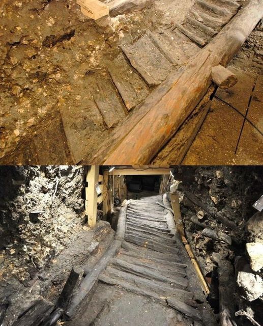 Unveiling Europe's Oldest Wooden Staircase: A Bronze Age Wonder