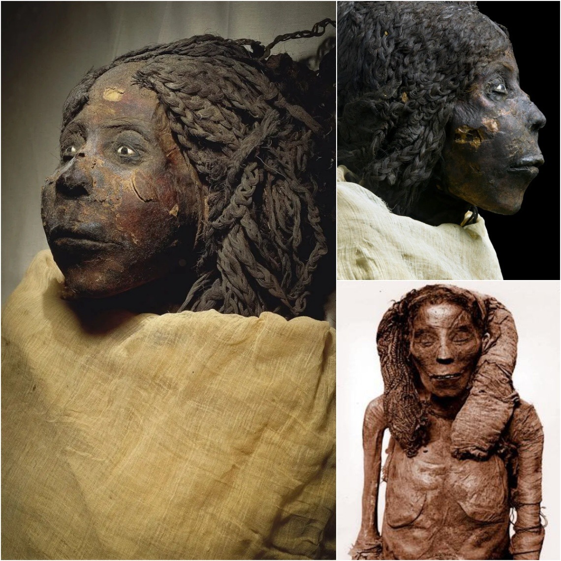  Unraveling the Majesty of Queen Nodjmet: The Exceptional Preservation of a Third Intermediate Period Mummy