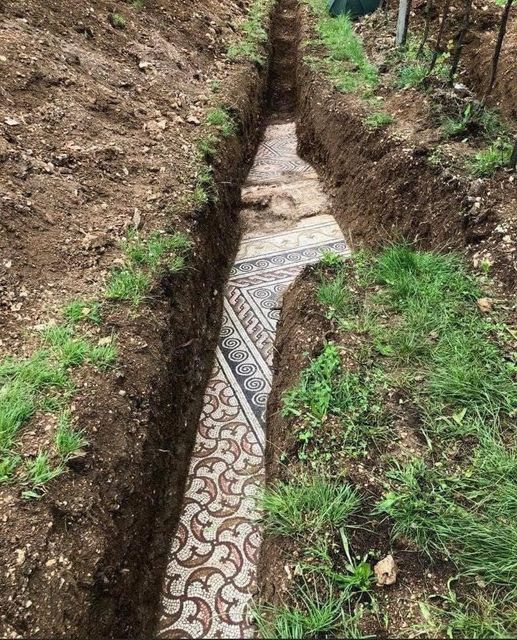 Ancient Roman Mosaic Floor Unearthed Beneath Italian Vineyard