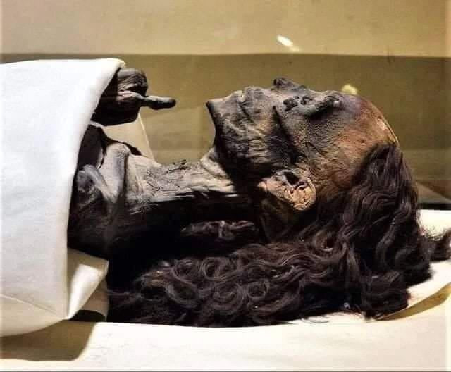 The still surviving curly hair of an Egyptian pharaoh queen who died at the age of 60 3,500 years ago.