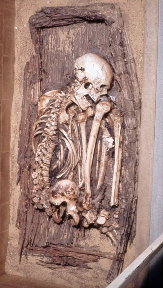 Early Period Skeleton