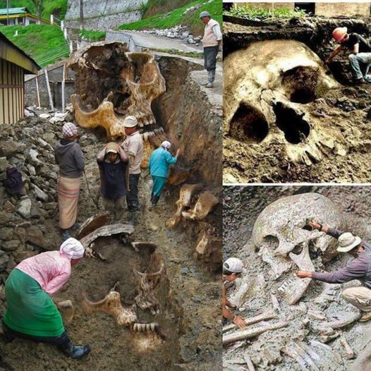 Ancient City’s Skeletons Unearth Historical Secrets of East Africa – Unveiling Beauty in the USA