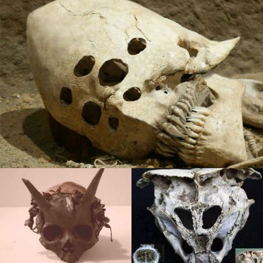 Many 'horror' horror-like skulls have been discovered, increasing curiosity in the origins of horror