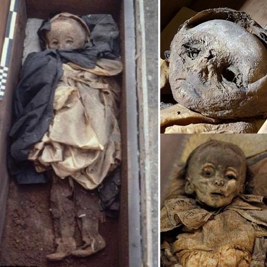 The Mummified Boy Discovered in an Aristocratic Family Crypt Perished Due to Lack of Exposure to Sunlight.