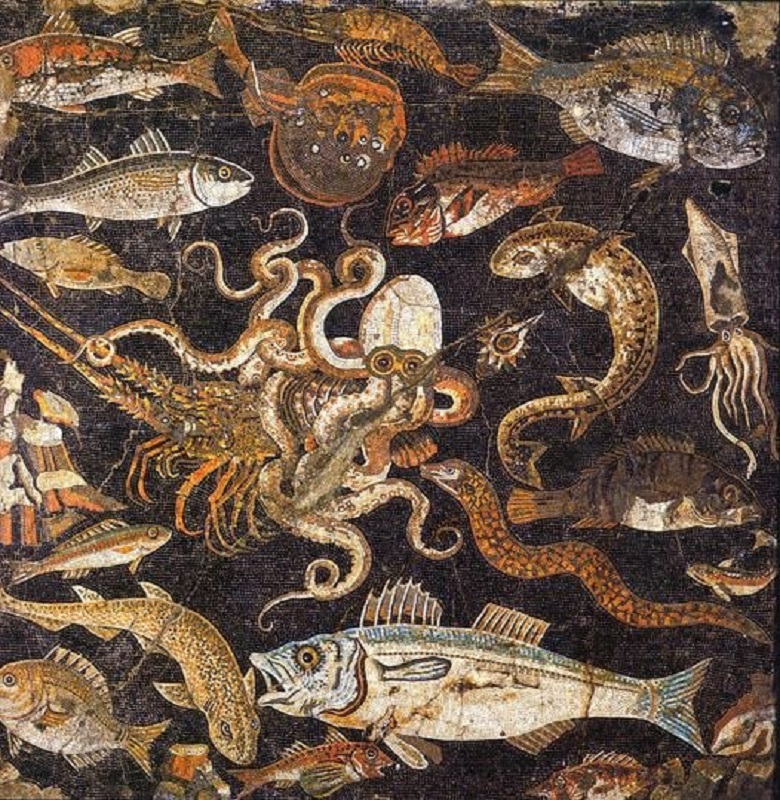 Ancient Artistry: The Marine Mosaic from the House of the Geometric Mosaics in Pompeii