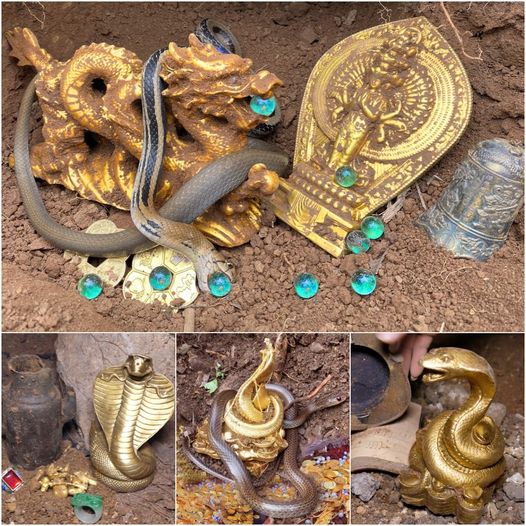 Unveiling the Hidden Treasures: The Boy and the Guardian Snake's Extraordinary Revelation