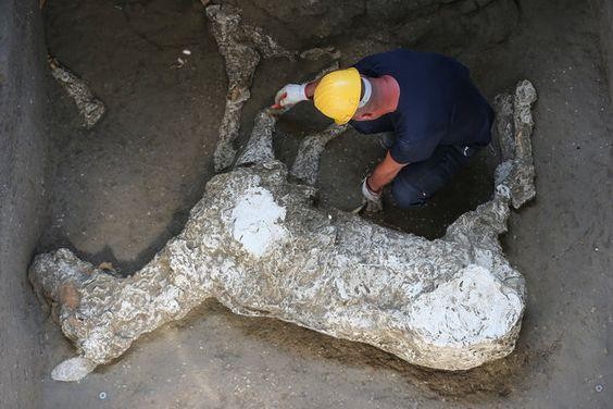 Petrified remains of harnessed horse unearthed in ancient stable near Pompeii