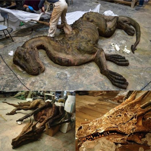 Unearthing a Marvel: Astonishing Dragon Fossil Found in China Leaves Experts Astounded.