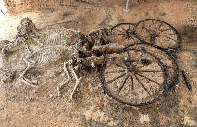 The Story Behind That 2,000-Year-Old Thracian Chariot