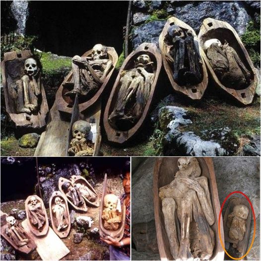 Echoes from the Kabayan Caves: The Enigmatic Fire Mummies of Benguet Province, Philippines, Preserved by an Intricate Dehydration and Smoking Ritual.