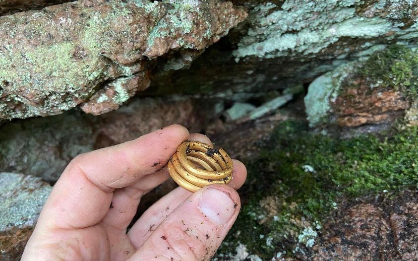 Unearthing Ancient Treasures: The Discovery of a Gold Ring in Sweden