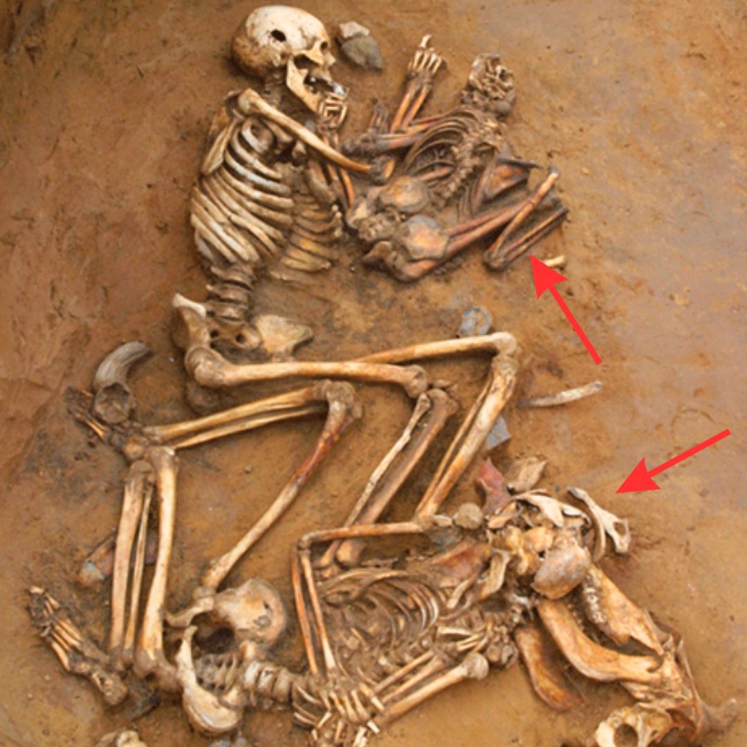 Ancient Enigma Revealed: Unraveling the Secrets of a 5000-Year-Old Indian Skeleton