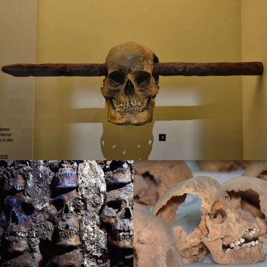 Feeding the gods: Hundreds of skulls reveal massive scale of human sacrifice in Aztec capital