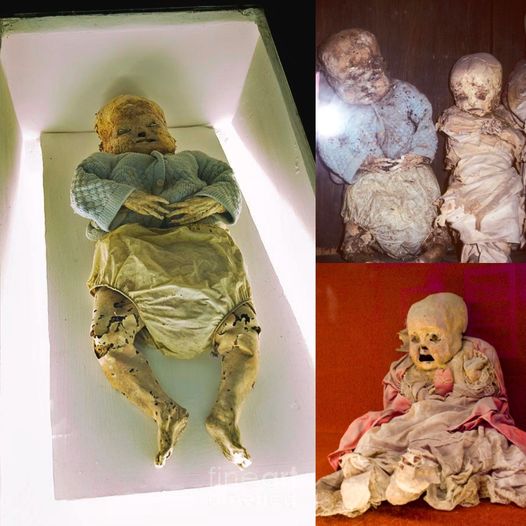 Young Mummies of Guanajuato, Mexico: A Glimpse into Ancient Preservation Techniques