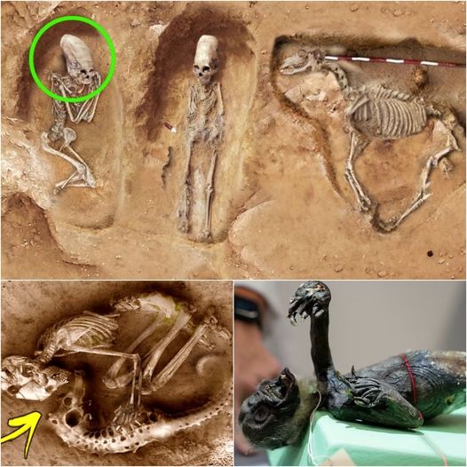 Unraveling the mystery: Discovering the discovery of a very strange and unique human-animal hybrid skeleton billions of years ago.