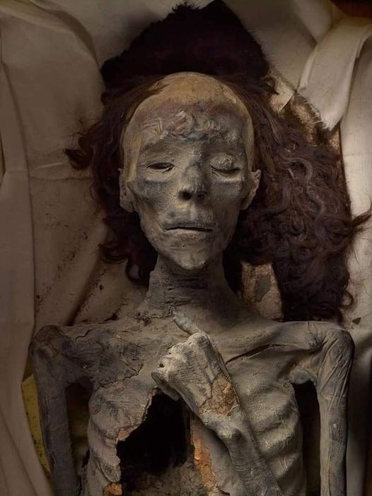 The mummy of Queen Tiye, the daughter of Yuya and Tuya, the wife of King Amenhotep III, the mother of King Akhenaton and the grandmother of King Tutankhamun. I2