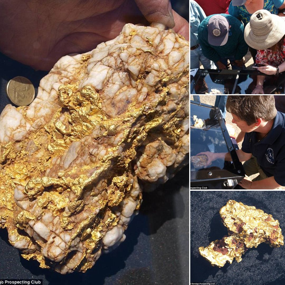 It’s a huge treasure: A young father hit the jackpot after digging up two giant gold pieces worth nearly $200,000.