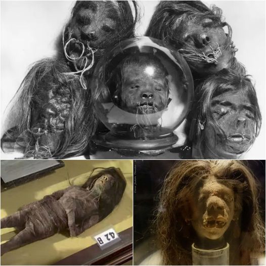 Shrunken Head Prop from 1979 Film "Wise Blood" Confirmed to Be Authentic Human Tissue, Sending Shockwaves Through Film Industry.