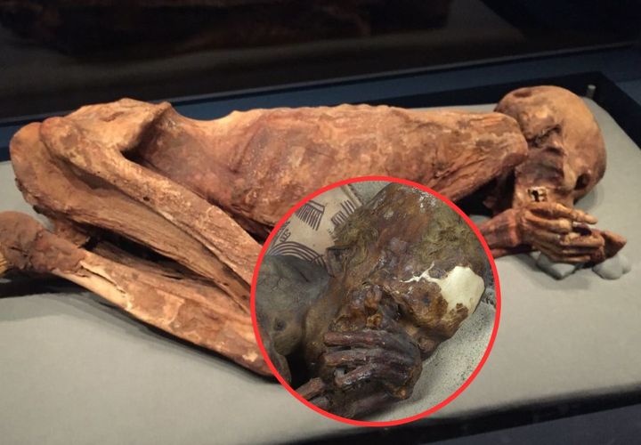 Eternal Romance: Unveiling the Enigmatic 5,500-Year-Old Mummy and the Secrets of Enduring Love.