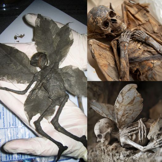 Unveiling the Enigma: The Discovery of a Fairy Mummy Reshapes Archaeological Understanding