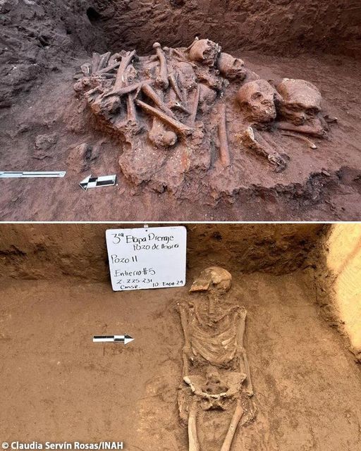 The Enigmatic ‘Vampire’ Graves: Skeletons Laid to Rest with Skulls Positioned Between Their Legs