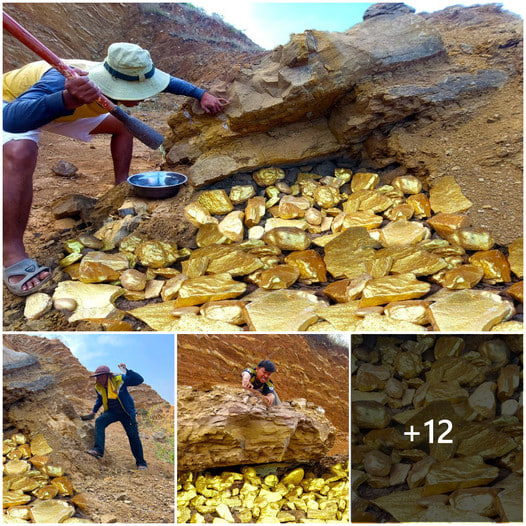 Gold miner found a lot of gold treasure under stone million years. ‎