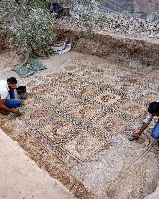 A Palestinian farmer has discovered an ornate Byzantine floor mosaic while trying to plant an olive tree on his land last year in the Gaza Strip.c