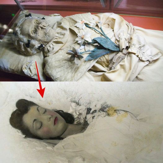Revealing the Untold Story: Conservation of the Cadiz Mummies
